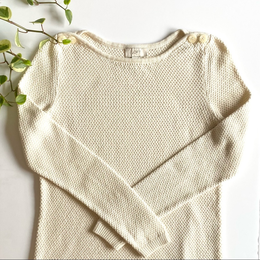 LOFT Ivory 100% Cotton Knit Sweater,  Medium